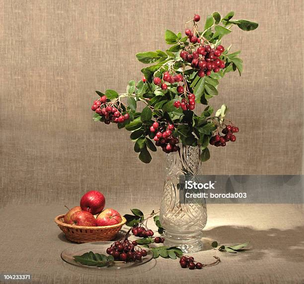 Bouquet De Ashberry Em Jarra De Vidro - Fotografias de stock e mais imagens de Abundância - Abundância, Bouquet, Caule de planta