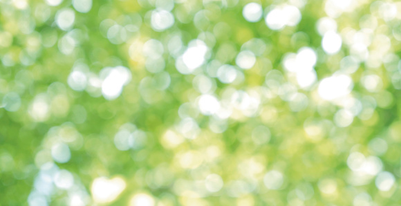Abstract blurred light bokeh nature background of green leaves