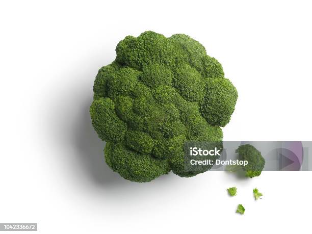 Head Of Green Broccoli Isolated On White Background Photos Head Of Green Broccoli Isolated On White Background Stock Photo - Download Image Now