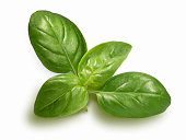 Basil sprig