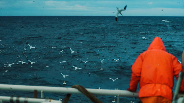 Fisherman on the fishing boat deck