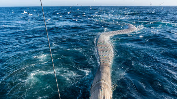 Trawl industrial fishing net