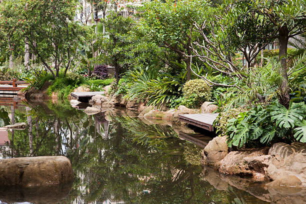istock Tranquil garden with pond and platform 104233985