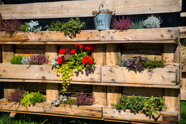 istock Pallet rebuilt into flower boxes 1042340206