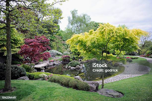 일본식 정원 단풍 나무 연못 0명에 대한 스톡 사진 및 기타 이미지 - 0명, 고요한 장면, 관목