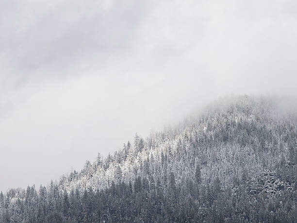 istock late spring  snow storm in yosemite valley. 104234504