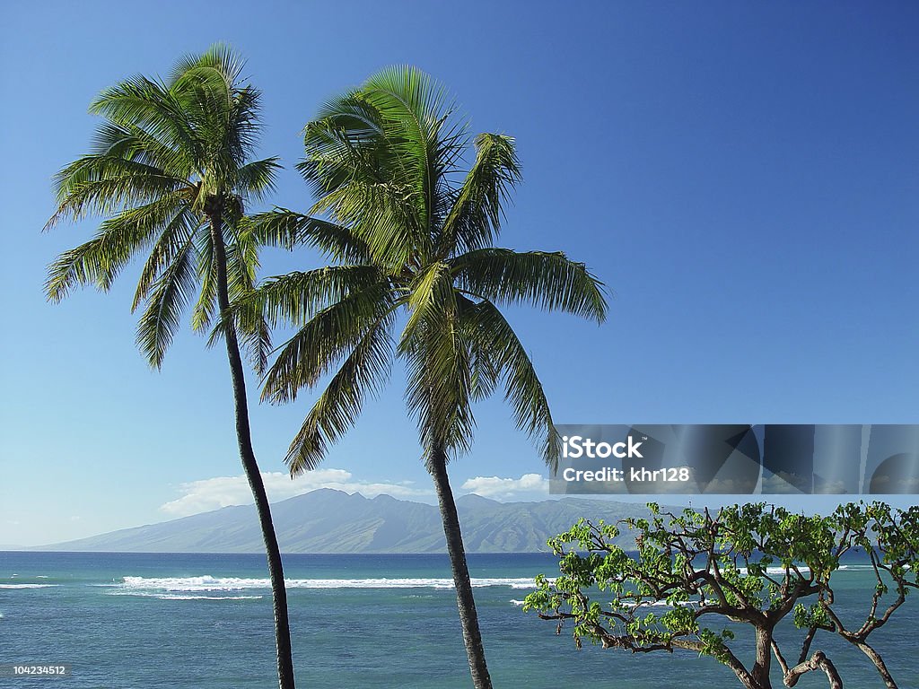 Tropical Paradies - Lizenzfrei Berg Stock-Foto