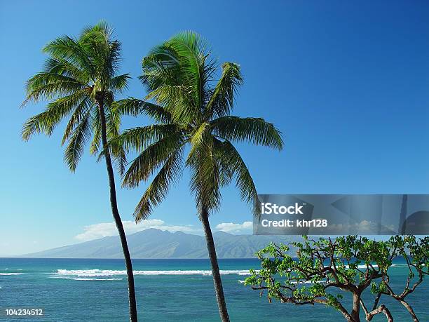 Tropical Paradies Stockfoto und mehr Bilder von Berg - Berg, Blau, Brandung