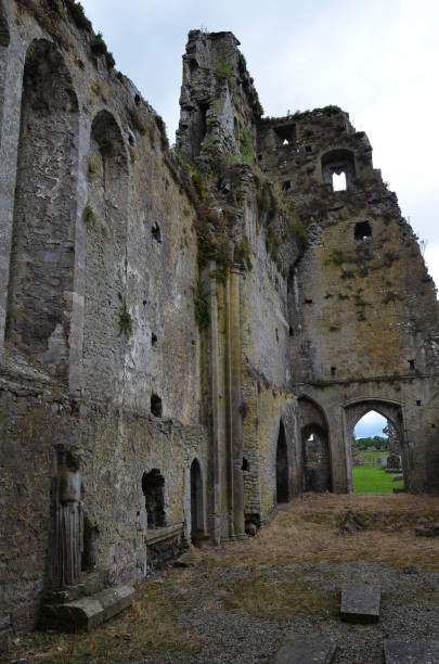 istock Athassel Priory Medieval Ruins Co Tipperary Ireland Nave View with Statues 1042346176
