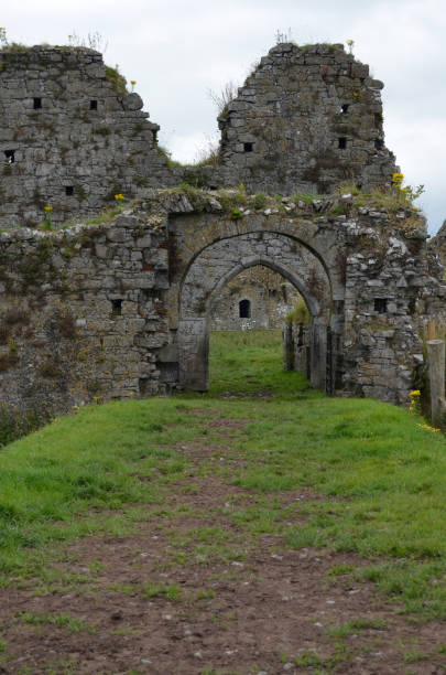 istock Athassel Priory Medieval Ruins Co Tipperary Ireland Gatehouse Bridge 1042346366