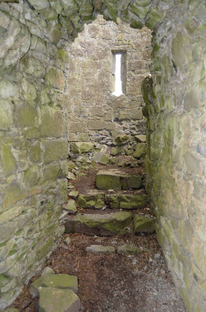 istock Athassel Priory Medieval Ruins Co Tipperary Ireland Arched Stone Stairway 1042346474
