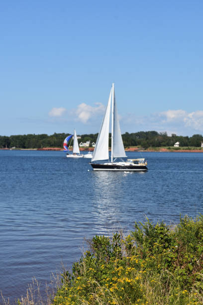 istock Sailboat Prince Edward Island Canada 1042346720