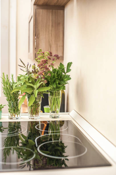 istock Fresh Herbs on the Kitchen Counter 1042356970
