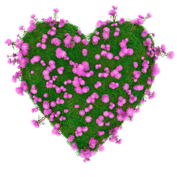 istock heart with pink flowers 104236178