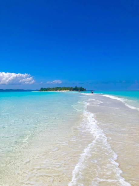 Nosy Iranja Nosy Be Madagascar Walking on the sand towards the island you can see the water coming from both sides.
Iranja Island (Nosy Iranja) with palm trees and boats floating in the sea, Madagascar. madagascar beach photos stock pictures, royalty-free photos & images