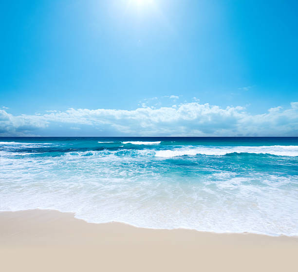 istock Piece of Paradise 104236722