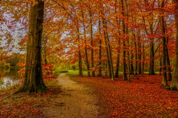 istock Beautiful autumn in Germany 1042373186