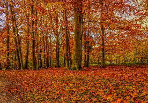 istock Beautiful autumn in Germany 1042373216