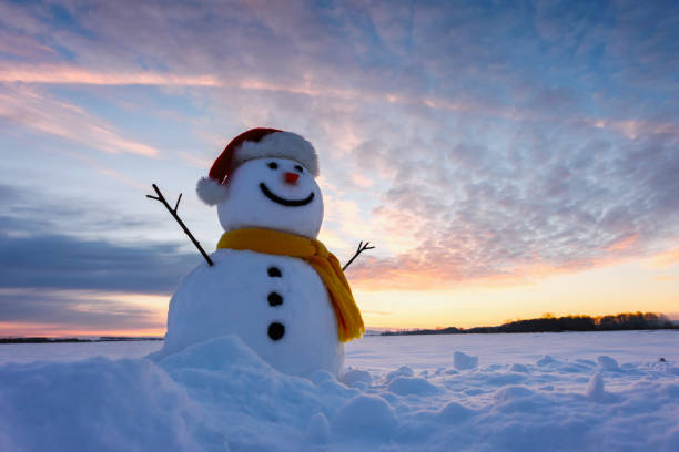 istock Funny snowman in Santa hat 1042376038