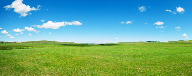 Panoramic grassland scenery backround