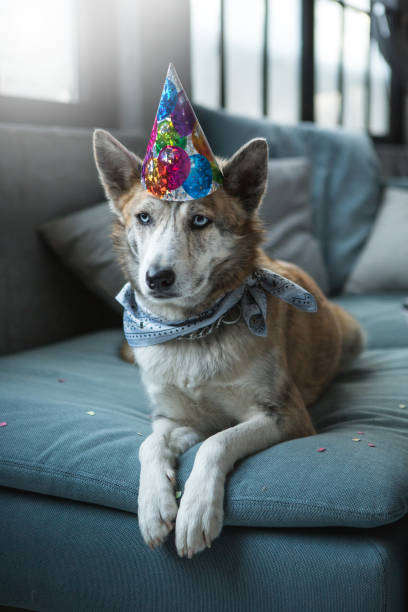 istock Happy birthday dear friend 1042380134