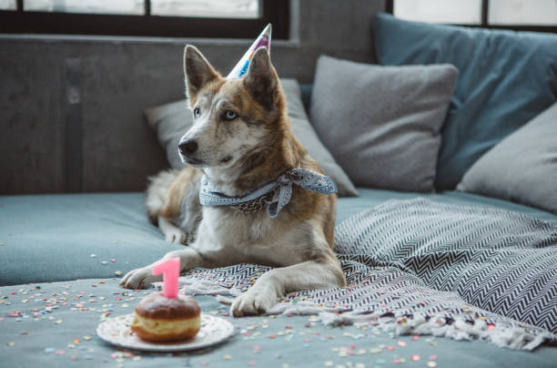 istock Happy birthday dear friend 1042380172