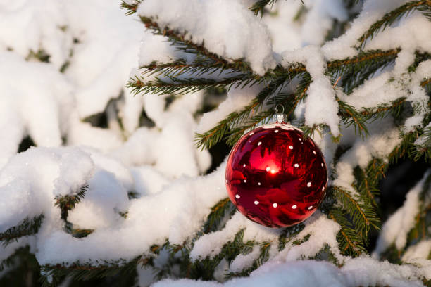 istock Christmas tree. New year. Snow. Winter. 1042385996
