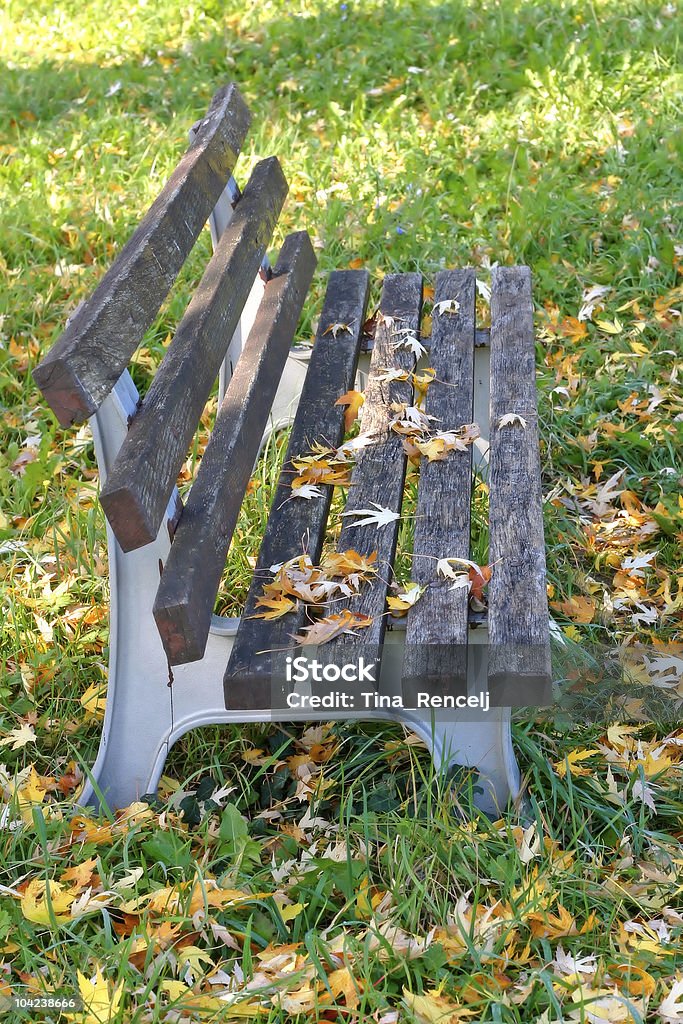 Banco del parque - Foto de stock de Aire libre libre de derechos