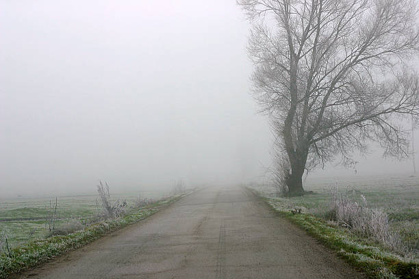 road の霧 - footpath single lane road road farm ストックフォトと画像