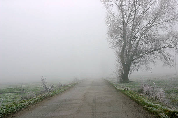 로드쇼의 in the Fog 스톡 사진