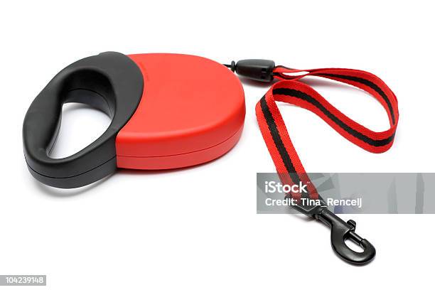 Flexi Retractable Dog Leash Stock Photo - Download Image Now - Pet Leash, Retractable, Rope