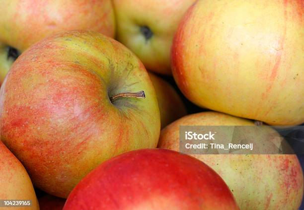 레드 사과들 7대 죄악에 대한 스톡 사진 및 기타 이미지 - 7대 죄악, 가벼운, 가을