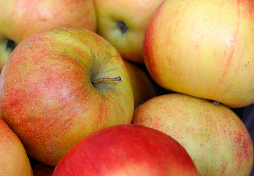 Bio red apples closeup