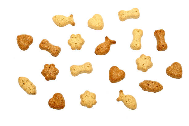 istock Dog Treats 104239527
