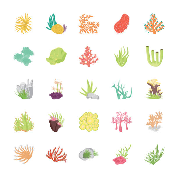 stockillustraties, clipart, cartoons en iconen met coral reef platte vector icons - acropora palmata