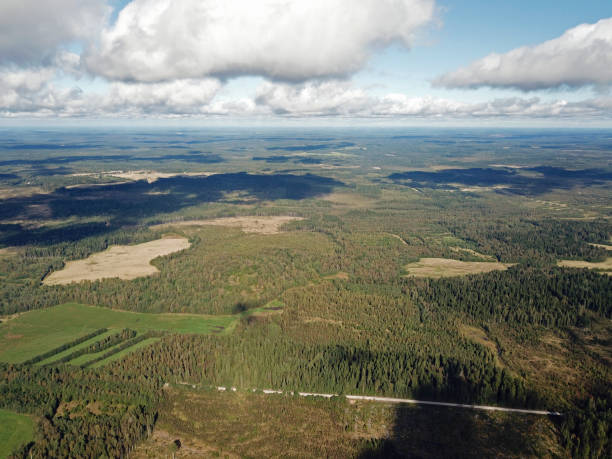 istock A landscape under clouds with fields and forests - an aerial view in autumn 1042395606