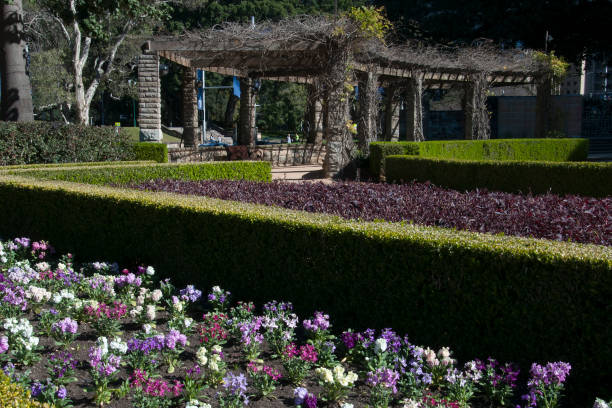istock Springtime in the Sandringham Garden, Hyde Park 1042396148