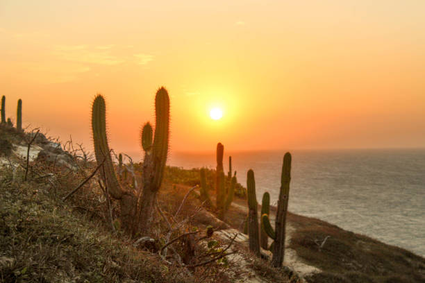 istock Sunset in northeast sea 1042396298