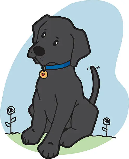 Vector illustration of Curious Black Labrador