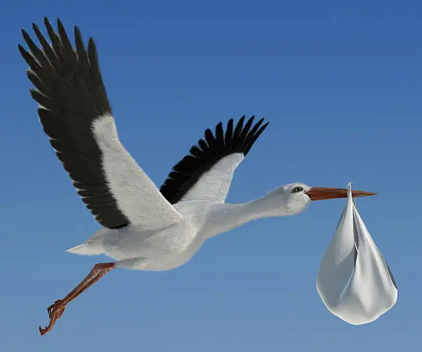 Classic depiction of a stork in flight delivering a newborn baby