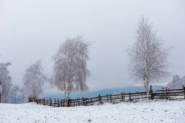 istock Winter trees covered with hoarfrost 1042400020