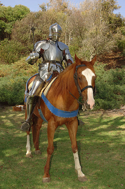 istock Knight on Horse with Mace 104240107