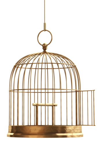 Birdcage sitting on white background. Horizontal composition with copy space. Low angle view. Clipping path is included.