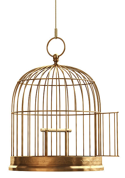 Open Bird Cage  cage stock pictures, royalty-free photos & images