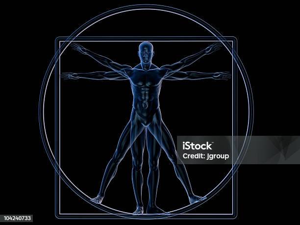 El Hombre De Vitruvio Foto de stock y más banco de imágenes de Leonardo Da Vinci - Leonardo Da Vinci, Hombres, Anatomía