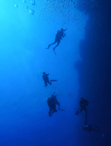 istock Egypt Rd sea Scuba diving 1042410610