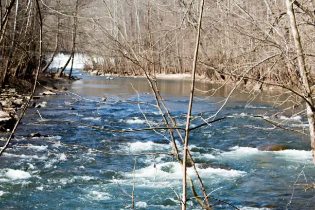 Photo of Patapsco River
