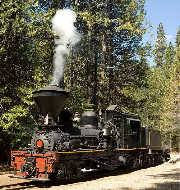 istock Steam Locomotive 104241171