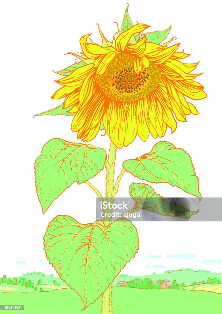 Girasoli gialli su uno sfondo paesaggio estivo. - arte vettoriale royalty-free di Agricoltura