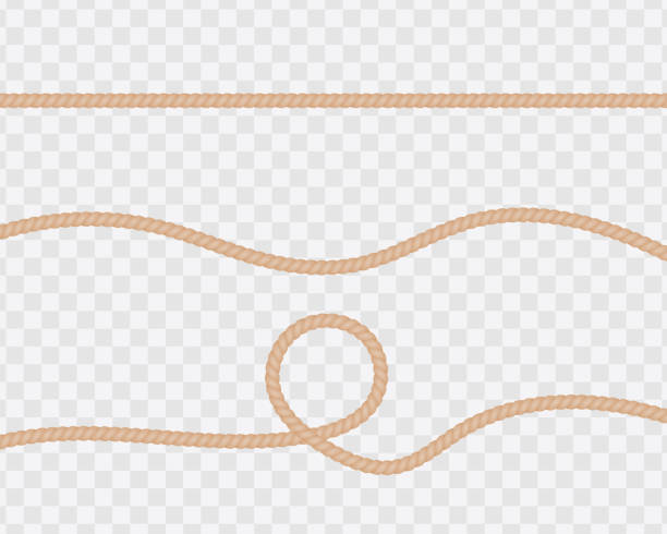 현실적인 밧줄 또는 문자열, 직선과 꼬인 집합입니다. 투명 한 배경에 고립 된 루프 자연 트위스트 라인. 벡터 - rope circle lasso twisted stock illustrations